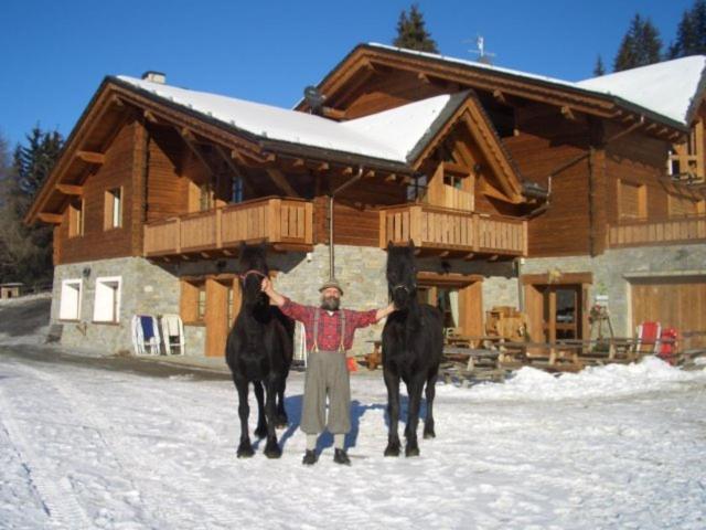 Agriturismo Chalet Caribona Villa Валдисото Екстериор снимка